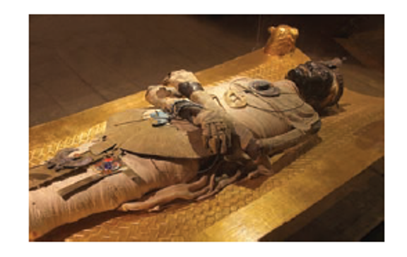 Chapter 8.6, Problem 55E, 55. Carbon-14 Dating Suppose an Egyptian mummy is discovered in which the amount of carbon-14 