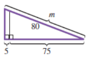 Chapter 9.3, Problem 32E, In each diagram, there are two similar triangles. Find the unknown measurement in each. (Hint: In 