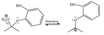 EBK GET READY FOR ORGANIC CHEMISTRY, Chapter 18, Problem 18.56P , additional homework tip  17