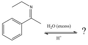 EBK GET READY FOR ORGANIC CHEMISTRY, Chapter 18, Problem 18.57P , additional homework tip  20