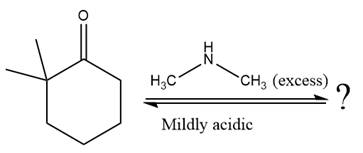 ORGANIC CHEMISTRY SG/SM PA +SQUARECAP E, Chapter 18, Problem 18.57P , additional homework tip  29