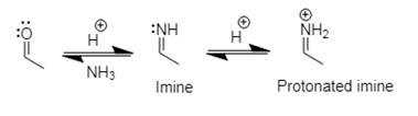 Organic Chemistry: Principles and Mechanisms (Second Edition), Chapter 18, Problem 18.87P , additional homework tip  2