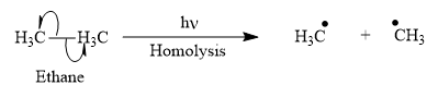 Organic Chemistry: Principles and Mechanisms (Second Edition), Chapter 25, Problem 25.1P , additional homework tip  2