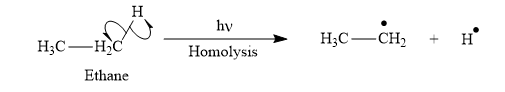 Organic Chemistry: Principles and Mechanisms (Second Edition), Chapter 25, Problem 25.1P , additional homework tip  8