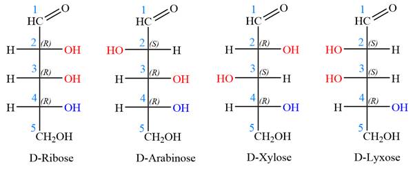 Get Ready for Organic Chemistry, Chapter 5, Problem 5.65P 