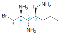 ORGANIC CHEMISTRY E-BOOK W/SMARTWORK5, Chapter E, Problem E.32P , additional homework tip  4