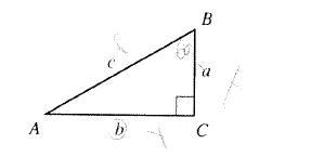 Algebra and Trigonometry: Structure and Method, Book 2, Chapter 12.2, Problem 20WE 