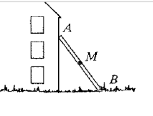 McDougal Littell Jurgensen Geometry: Student Edition Geometry, Chapter 10.6, Problem 21WE , additional homework tip  1