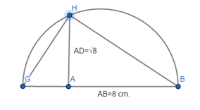 McDougal Littell Jurgensen Geometry: Student Edition Geometry, Chapter 14, Problem 7CTE , additional homework tip  2