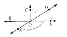 McDougal Littell Jurgensen Geometry: Student Edition Geometry, Chapter 2, Problem 12CR , additional homework tip  1