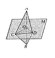 McDougal Littell Jurgensen Geometry: Student Edition Geometry, Chapter 4.7, Problem 11CE 