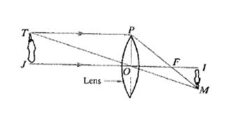 McDougal Littell Jurgensen Geometry: Student Edition Geometry, Chapter 7.4, Problem 35WE 