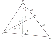 McDougal Littell Jurgensen Geometry: Student Edition Geometry, Chapter 7.6, Problem 32WE , additional homework tip  2