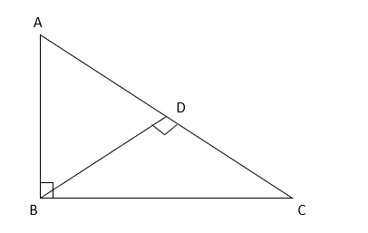 McDougal Littell Jurgensen Geometry: Student Edition Geometry, Chapter 8.1, Problem 42WE 