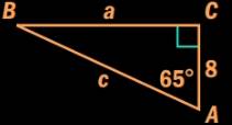 Holt Mcdougal Larson Pre-algebra: Student Edition 2012, Chapter 9, Problem 21CT 