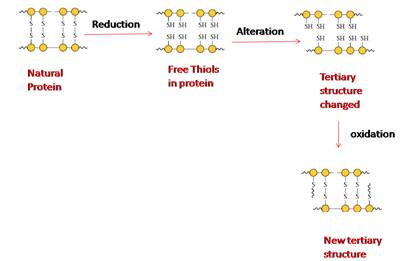 World of Chemistry, Chapter 21, Problem 22A 