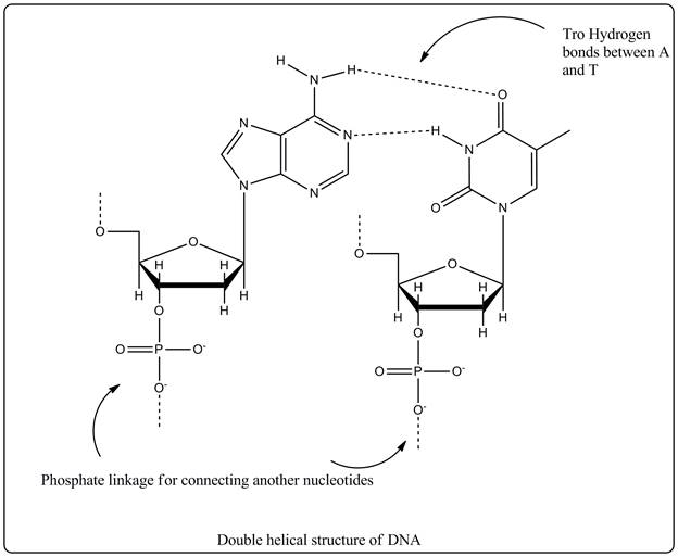 World of Chemistry, Chapter 21, Problem 33A 