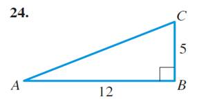 Precalculus: Mathematics for Calculus - 6th Edition, Chapter 6, Problem 24RE 