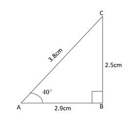 Precalculus: Mathematics for Calculus - 6th Edition, Chapter 6.2, Problem 40E , additional homework tip  1