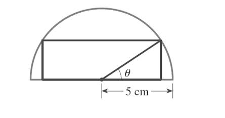 Precalculus: Mathematics for Calculus - 6th Edition, Chapter 7.3, Problem 104E , additional homework tip  1