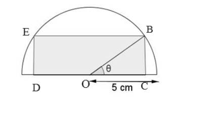 Precalculus: Mathematics for Calculus - 6th Edition, Chapter 7.3, Problem 104E , additional homework tip  2