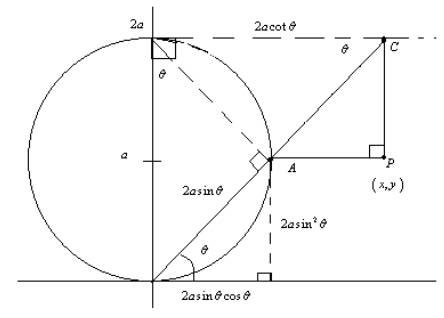 Precalculus: Mathematics for Calculus - 6th Edition, Chapter 8.4, Problem 64E , additional homework tip  1