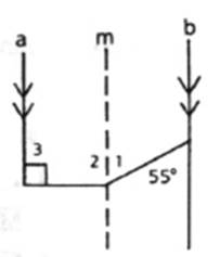 Geometry For Enjoyment And Challenge, Chapter 5.6, Problem 17PSB 