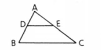 Geometry For Enjoyment And Challenge, Chapter 8.5, Problem 28PSC 