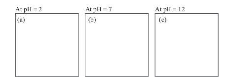 Chapter 24, Problem 1Q, 24.1 Write the structural formula of the principal ionic species present in aqueous solutions at pH 