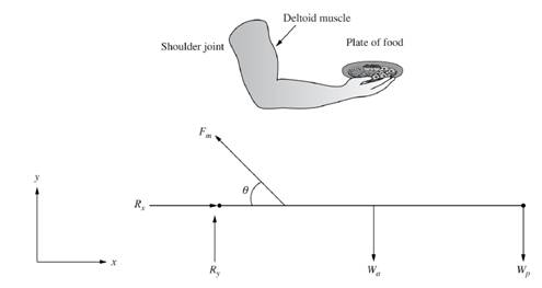 Chapter 4, Problem 40P, A waiter extends his arm to hand a plate of food to his customer. The free- body diagram is shown in 
