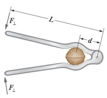 Chapter 12, Problem 19P, To crack a certain nut in a nutcracker, forces with magnitudes of at least 40 N must act on its 