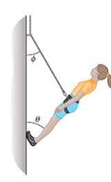 Chapter 12, Problem 24P, GO In Fig. 12-41, a climber with a weight of 533.8 N is held by a belay rope connected to her 