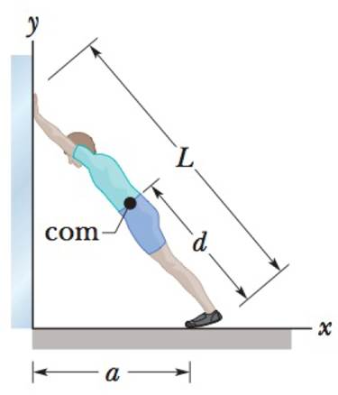 Chapter 12, Problem 26P, GO In Fig. 12-43, a climber leans out against a vertical ice wall that has negligible friction. 