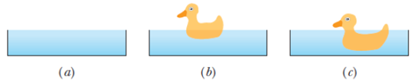 Chapter 14, Problem 6Q, Figure 14-24 shows three identical open-top containers filled to the brim with water; toy ducks 