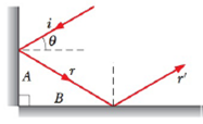 Chapter 33, Problem 49P, Figure 33-49 shows light reflecting from two perpendicular reflecting surfaces A and B. Find the 