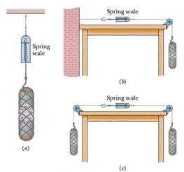 Chapter 5, Problem 15P, SSM a An 11.0 kg salami is supported by a cord that runs to a spring scale, which is supported by a 