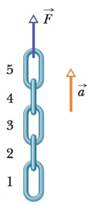 Chapter 5, Problem 43P, SSM In Fig. 5-43, a chain consisting of five links, each of mass 0.100 kg, is lifted vertically with 