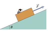 Chapter 6, Problem 16P, A loaded penguin sled weighing 80 N rests on a plane inclined at angle  = 20 to the horizontal Fig. 