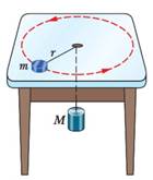 Chapter 6, Problem 57P, GO A puck of mass m = 1.50 kg slides in a circle of radius r = 20.0 cm on a frictionless table while 