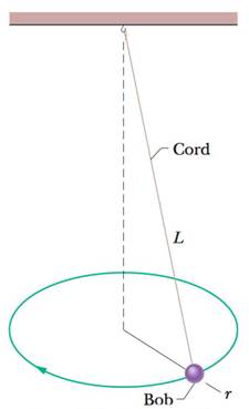 Chapter 6, Problem 70P, GO Figure 6-53 shows a conical pendulum, in which the bob the small object at the lower end of the 