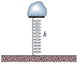 Chapter 8, Problem 19P, GO Figure 8-36 shows an 8.00 kg stone at rest on a spring. The spring is compressed 10.0 cm by the 