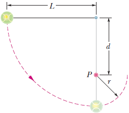 Chapter 8, Problem 23P, ILW The string in Fig. 8-38 is L = 120 cm long, has a ball attached to one end, and is fixed at its 