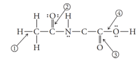 Chapter 9, Problem 110RQ, 9.110 What kinds of bondsare found in the numbered bonds in the following molecule?

 