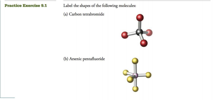 Chapter 9, Problem 1PE, Practice Exercise 9.1 Label the shapes of the following molecules: 