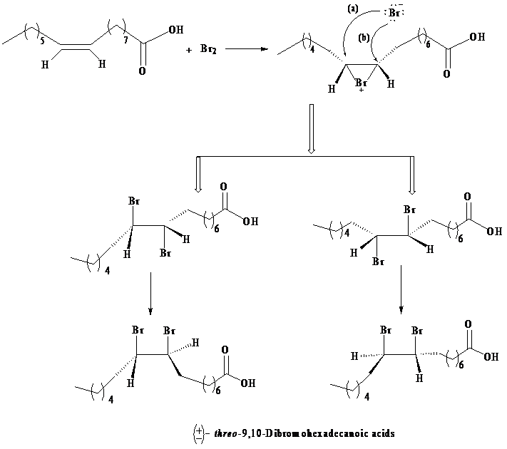 ORGANIC CHEMISTRY-ETEXT REG ACCESS     , Chapter 23, Problem 1PP , additional homework tip  4