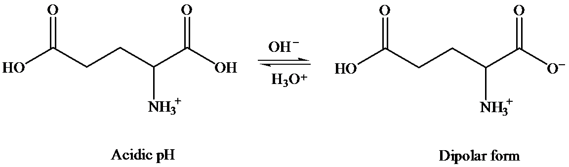 Organic Chemistry, 12e Study Guide/Student Solutions Manual, Chapter 24, Problem 1PP , additional homework tip  4