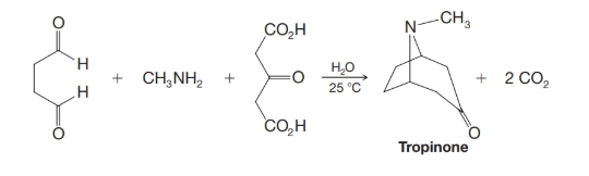 Chapter H, Problem 5PP, Practice Problem H.5
Many alkaloids appear to be synthesized in plants by reactions that resemble 