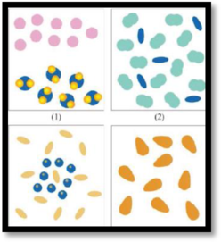 FOUND.OF COLLEGE CHEMISTRY             , Chapter 1, Problem 12AE , additional homework tip  1