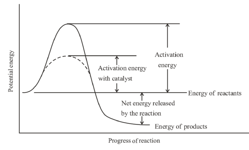 FOUND.OF COLLEGE CHEMISTRY             , Chapter 16, Problem 50AE 