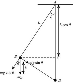 Principles of Physics: A Calculus-Based Text, Chapter 12, Problem 35P 